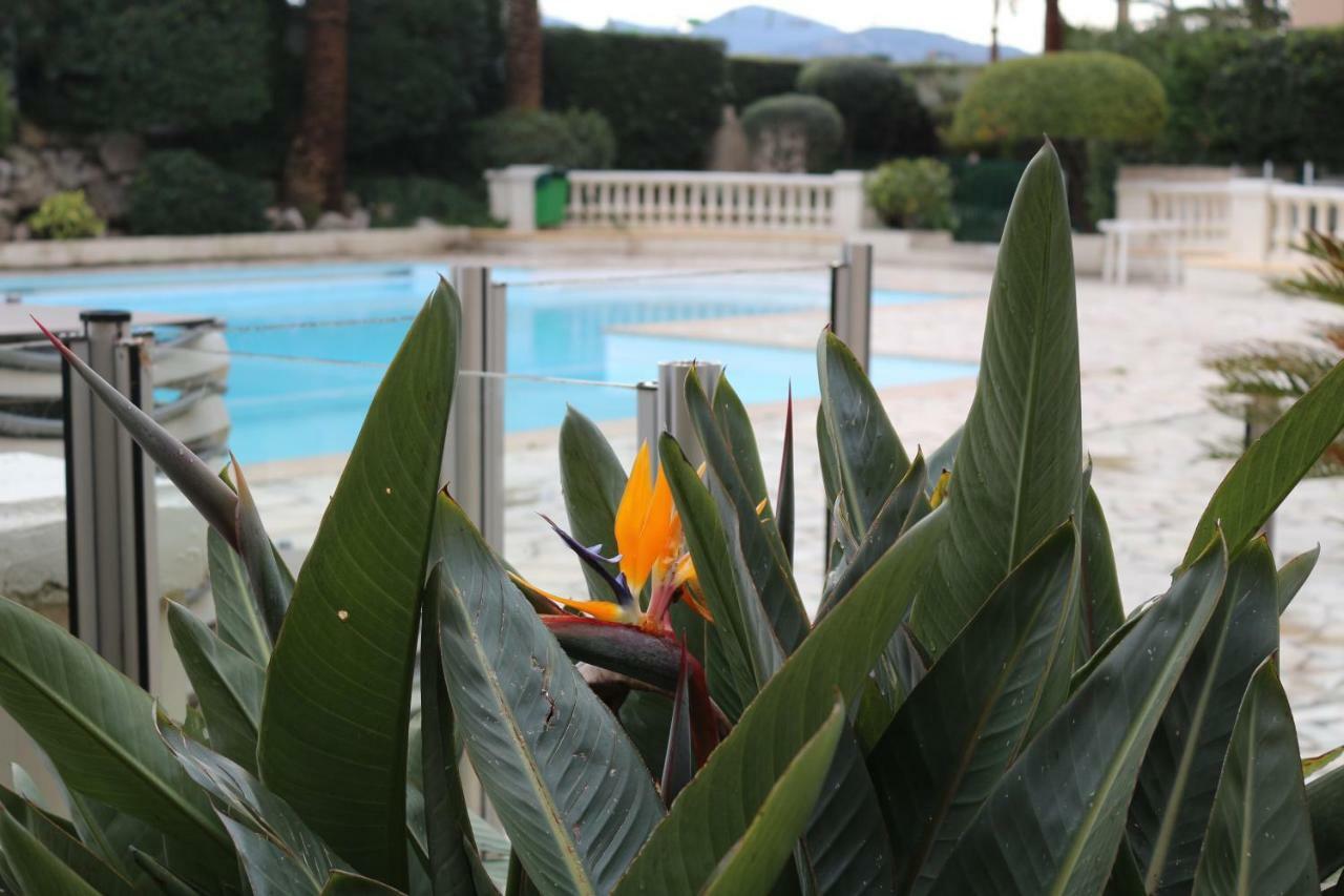 Appartement Palm D'Azur Cannes Eksteriør billede